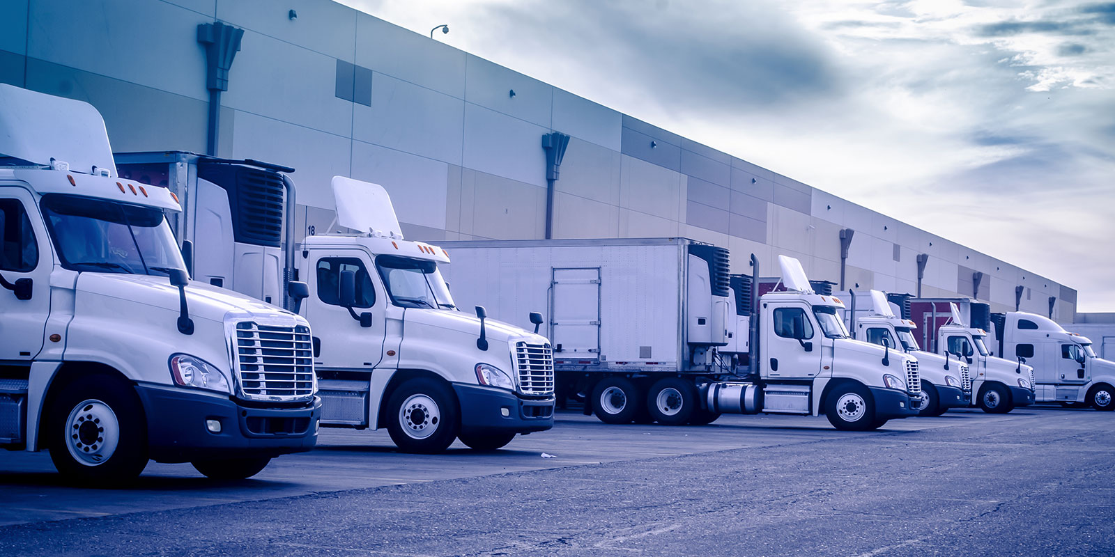 flotta aziendale con gps